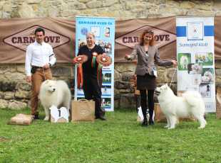 Speciální Výstava Chržín   20250927 1